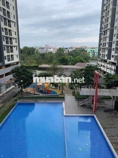 Hàng ngộp giá rẻ căn 1PN 1WC 47m2  bán giá chỉ 1.620 tỷ. Eco Xuân