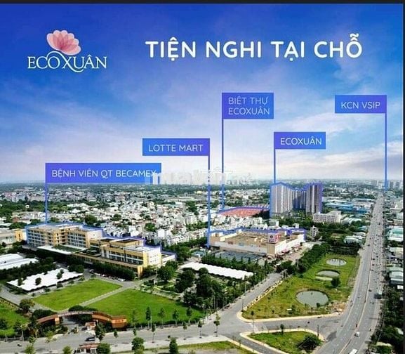 Hàng ngộp giá rẻ căn 1PN 1WC 47m2  bán giá chỉ 1.620 tỷ. Eco Xuân