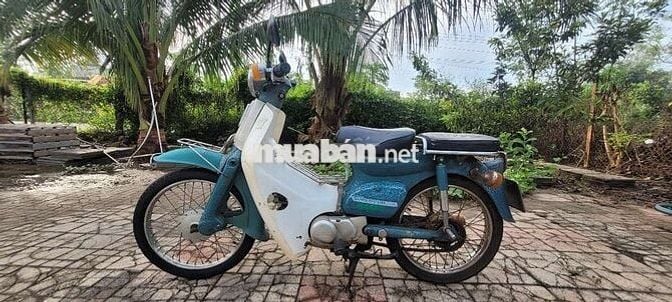 Honda Cup 50cc Xanh