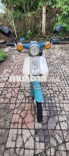 Honda Cup 50cc Xanh