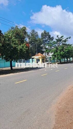 Cần Sang Gấp Lô Đất 300m2/620Triệu Bàu Bàng mặt tiền đường kinh doanh 