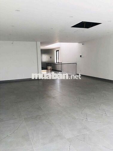 MT NGUYỄN TRỌNG TUYỂN NGANG 8M NỞ HẬU 10M SD ~ 600M GIÁ 70 TRIỆU