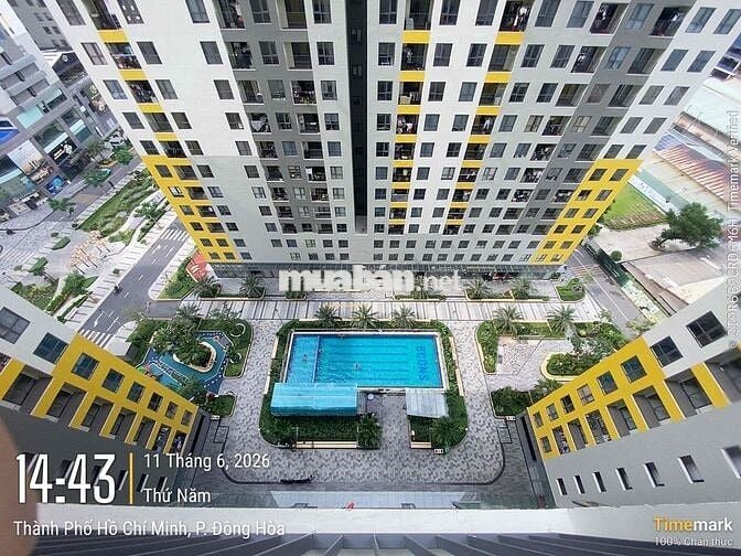 RẺ NHẤT KHU VỰC - CHUNG CƯ [ MỚI 100% ] GẦN GO DĨ AN - CHỢ ĐÔNG HOÀ