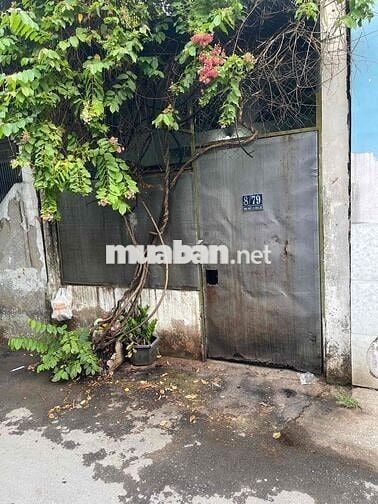 Cho Thuê Nhà Nguyên Căn Giá Rẻ,Hẻm Xe Hơi 6M