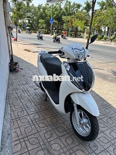 Honda Lead Trắng