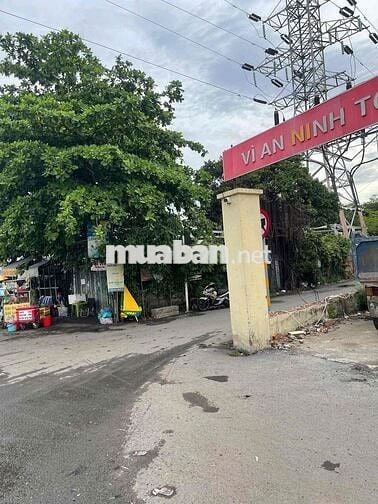 Cho Thuê Nhà Nguyên Căn Giá Rẻ,Hẻm Xe Hơi 6M