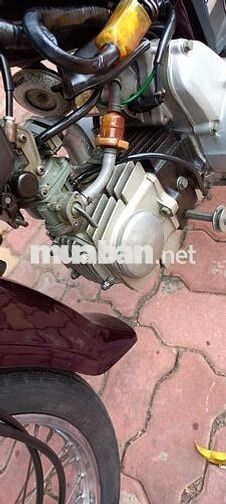 Honda Dream Thái 1999 Đỏ mận