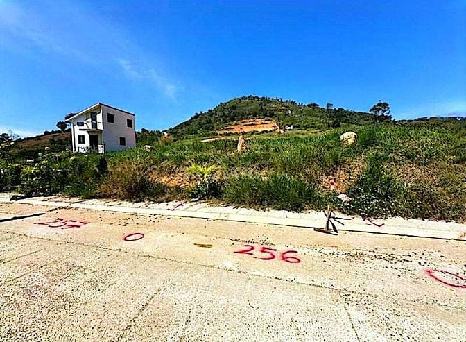 Công ty Đấu giá hợp danh Lam Sơn Sài Gòn thông báo đấu giá tài sản