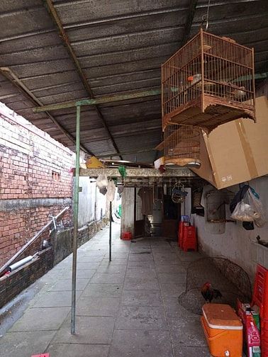 BÁN NHÀ CÁCH MẶT TIỀN TRỊNH THỊ DỐI CHỈ 20M–DT KHỦNG 275M²–GIÁ 6.6 TỶ