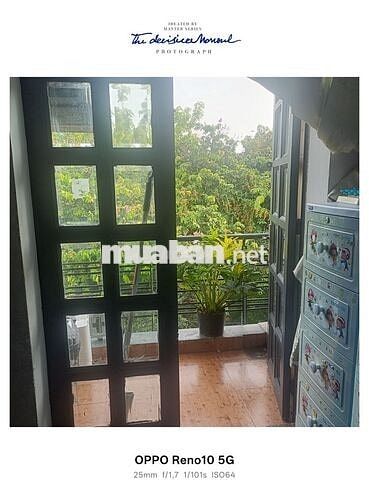 CHO THUÊ PHÒNG TRỌ HẺM CHÙA DIỆU PHÁP