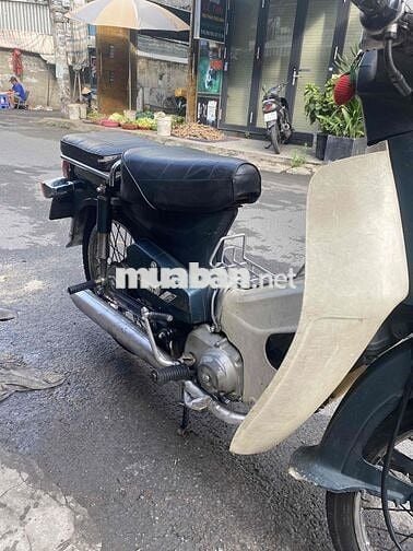 Honda Cub màu Xanh, Kem