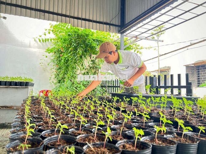 TUYỂN DỤNG LAO ĐỘNG (LÀM NÔNG TẠI TRANG TRẠI)