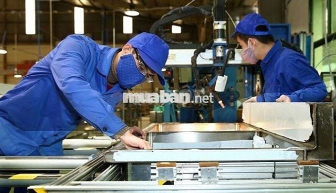 🏭 CÔNG TY TNHH VAFI TUYỂN DỤNG
