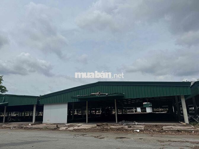 cho thuê kho đường Đào Trí 48.000m2