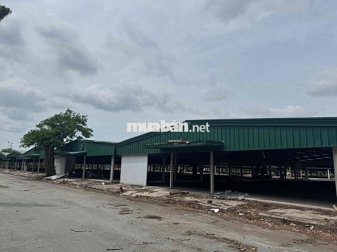cho thuê kho đường Đào Trí 48.000m2