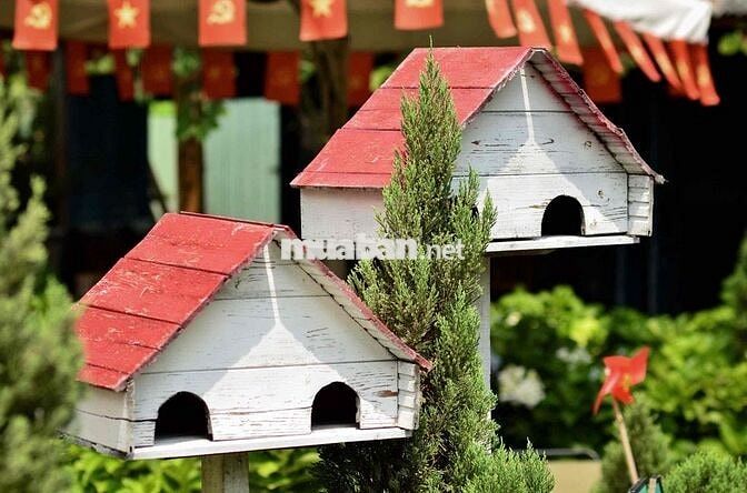 cần 10 nhân viên phục vụ pha chế tại Gò Vấp, HCM