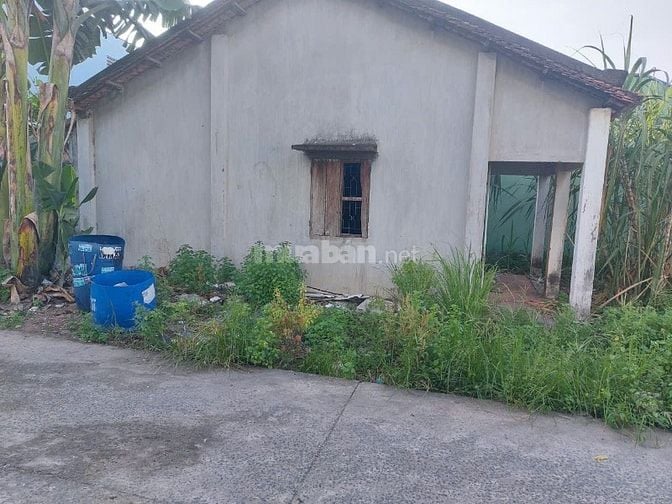 Bán đất tặng nhà cũ 333m² gần BV Xuyên Á, KCN Tân Phú Trung 1,45 TỶ