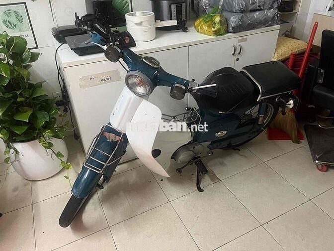 Honda Super Cub Xanh trắng