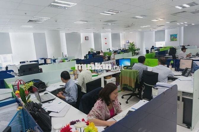 *** Quản lý KD, CVKD LCB đến 15TR, hh cao