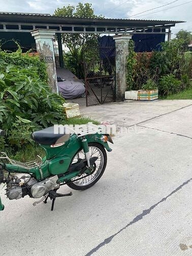 Honda Cub 50cc Xanh lá