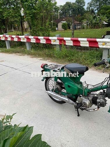 Honda Cub 50cc Xanh lá