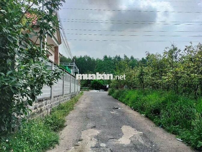 BÁN ĐẤT THỔ CƯ QL51 AN PHƯỚC, LONG THÀNH - ĐƯỜNG NHỰA Ô TÔ