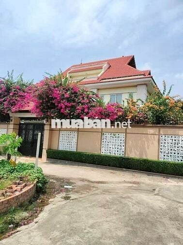 BÁN ĐẤT THỔ CƯ QL51 AN PHƯỚC, LONG THÀNH - ĐƯỜNG NHỰA Ô TÔ