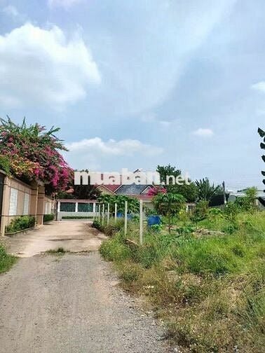 BÁN ĐẤT THỔ CƯ QL51 AN PHƯỚC, LONG THÀNH - ĐƯỜNG NHỰA Ô TÔ