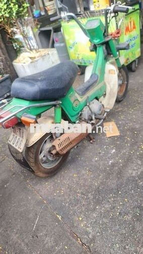 Honda Chaly 1997 Xanh