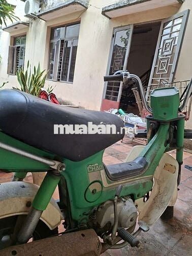 Honda Chaly 1997 Xanh