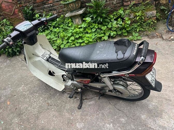 Honda Dream Thái 1995 Đen, Trắng