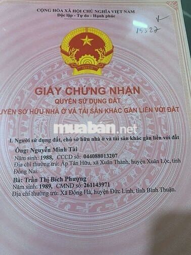 em bán lỗ do kẹt tiền cần vốn gấp để làm ăn cần ra gấp