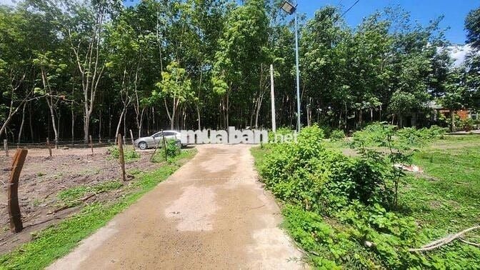 em bán lỗ do kẹt tiền cần vốn gấp để làm ăn cần ra gấp