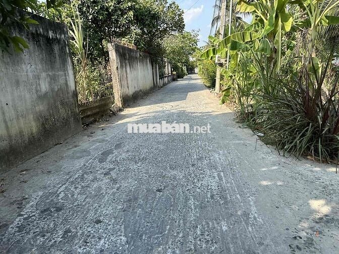 190 Triệu đất Vườn 500m2 nền cao ráo