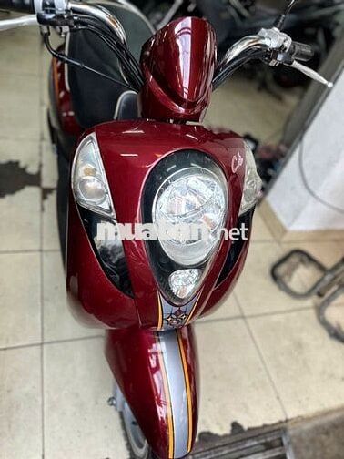 SYM Elite 50cc bs 49ac-04264