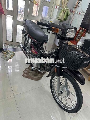 Honda Super Dream 2001 Nâu