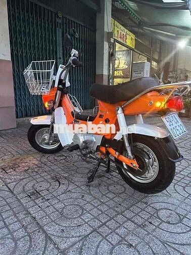 Honda Chaly 2022 Cam trắng
