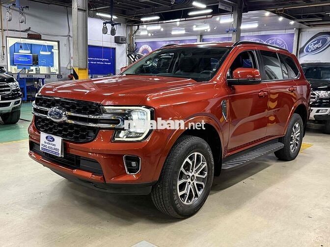 Everest  Ambient Xe Chuẩn Kĩ Đẹp Bán Tại Hãng Ford