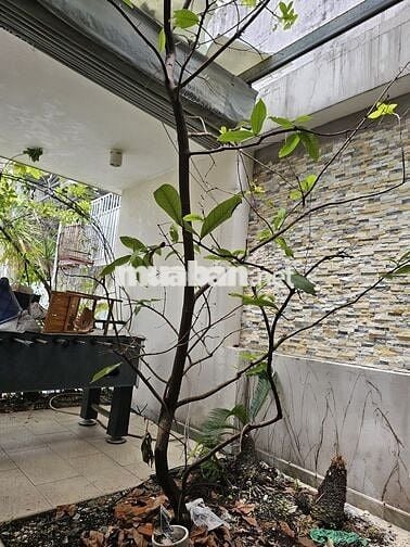 Cần bán nhà nguyên căn giá rẻ khu Nam Hùng Vương, An Lạc Bình Tân