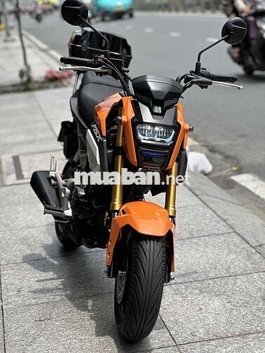 Honda MSX Cam 13000 km
