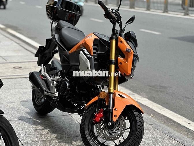 Honda MSX Cam 13000 km