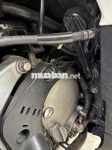 Honda SH 2010 Trắng