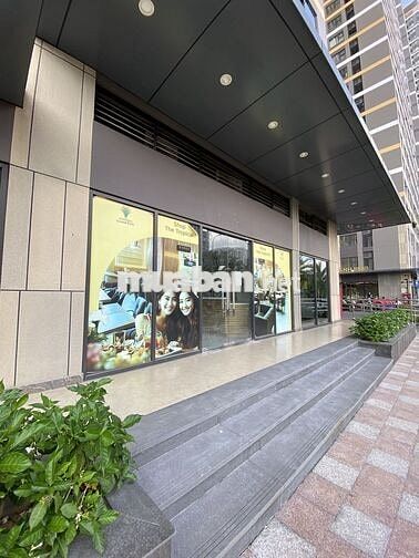 Tuyển NV Pha Chế / Giặt Sấy - Vinhome Grand Park