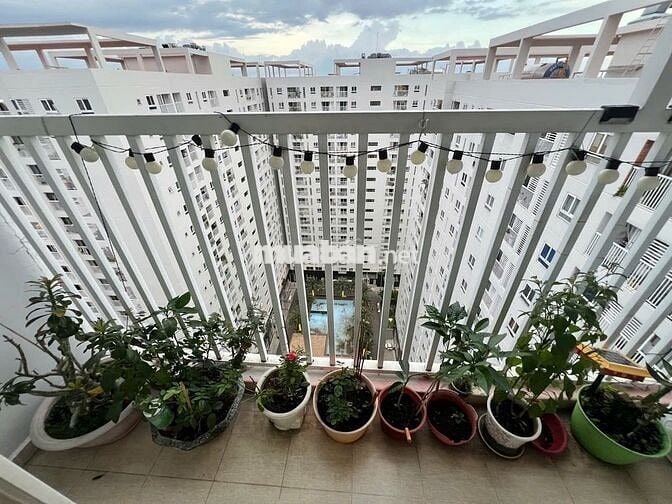 Cần  bán căn hộ chung cư Tara Residence 