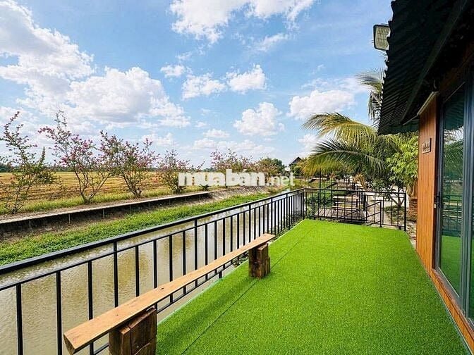 🌾 Chỉ từ 350TR sở hữu ngay lô đất trong khu Lúa Farmstay 🌾