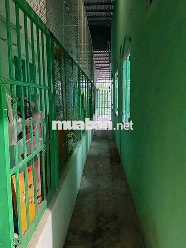 📢 Nhà giá rẻ Tân Thông Hội Củ Chi. Diện tích 57m2 