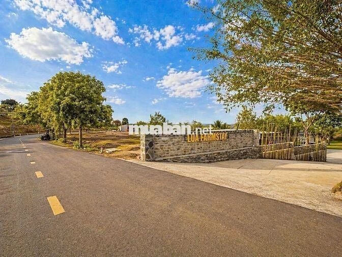 🌾 Chỉ từ 350TR sở hữu ngay lô đất trong khu Lúa Farmstay 🌾