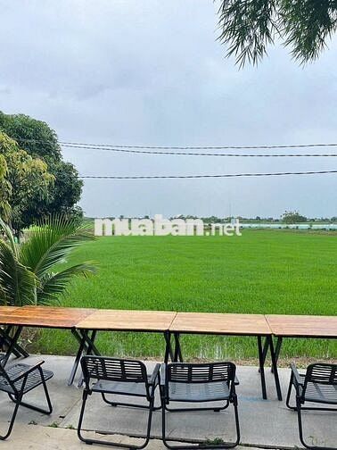 🌾 Chỉ từ 350TR sở hữu ngay lô đất trong khu Lúa Farmstay 🌾