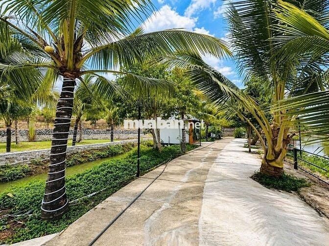 🌾 Chỉ từ 350TR sở hữu ngay lô đất trong khu Lúa Farmstay 🌾