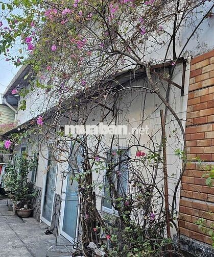 phòng cho thuê rộng gác suốt rộng, trệt dưới đất đường lớn xe vào được